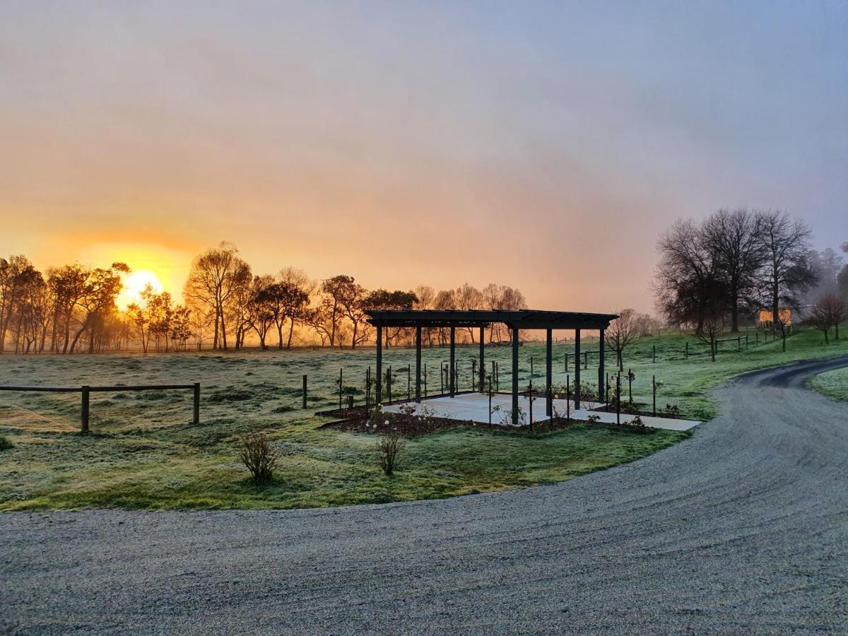 Tallawarra Homestead Tonimbuc Eksteriør billede